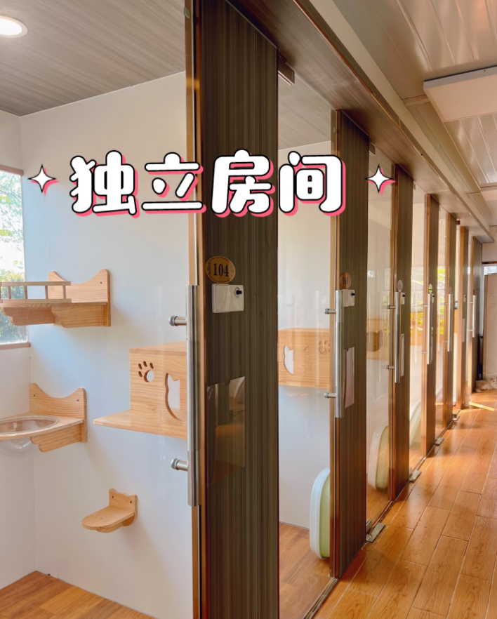 深圳宠物